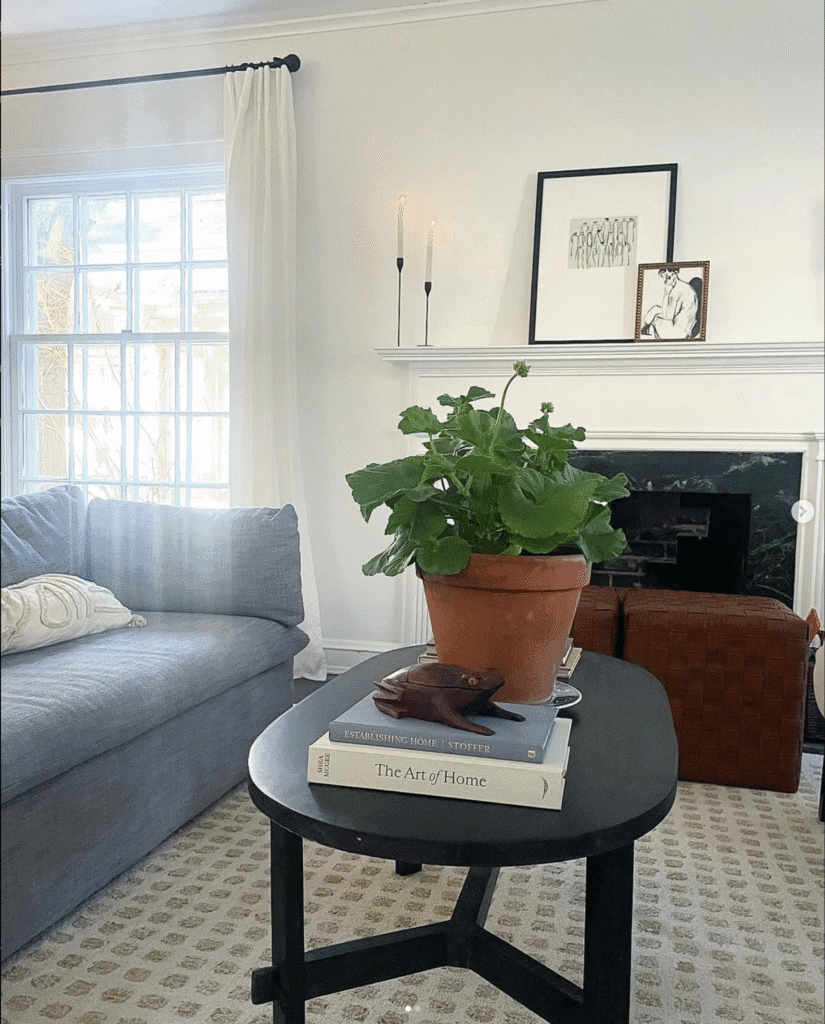 Interior design for living rooms. Shows couch, coffee table, plant, and curated art.