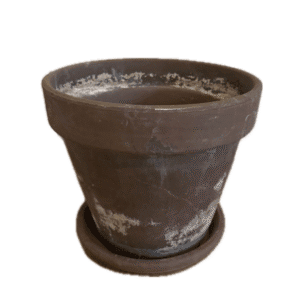 Antique Terracotta Planter with Tray