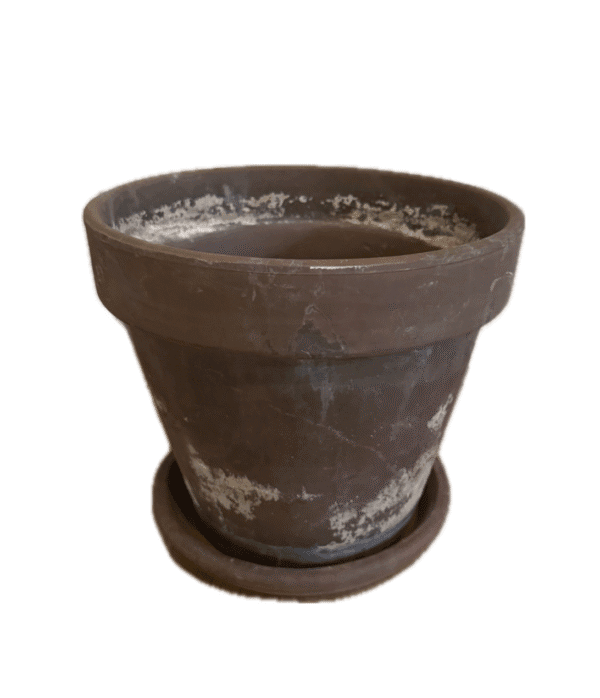 Antique Terracotta Planter with Tray